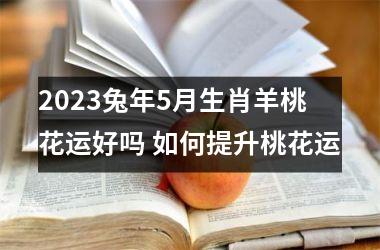 2023兔年5月生肖羊桃花运好吗 如何提升桃花运