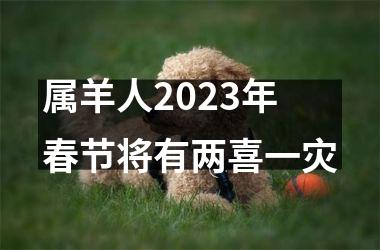属羊人2023年春节将有两喜一灾
