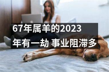 67年属羊的2023年有一劫 事业阻滞多