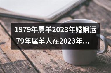 1979年属羊2023年婚姻运 79年属羊人在2023年的婚姻运势如何？