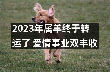 <h3>2025年属羊终于转运了 爱情事业双丰收
