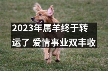 2023年属羊终于转运了 爱情事业双丰收