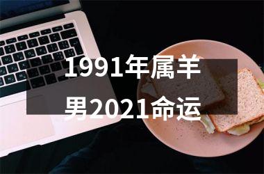 1991年属羊男2021命运