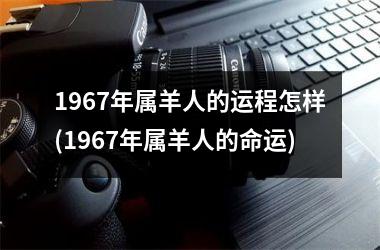 1967年属羊人的运程怎样(1967年属羊人的命运)