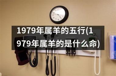 <h3>1979年属羊的五行(1979年属羊的是什么命)