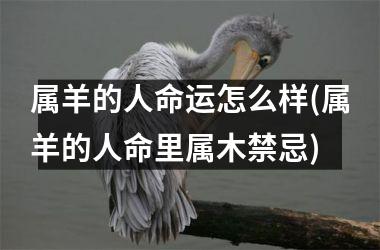 <h3>属羊的人命运怎么样(属羊的人命里属木禁忌)