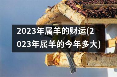 2023年属羊的财运(2023年属羊的今年多大)