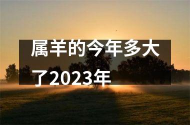 属羊的今年多大了2023年