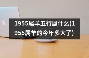 1955属羊五行属什么(1955属羊的今年多大了)