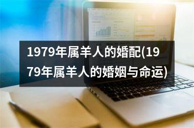 1979年属羊人的婚配(1979年属羊人的婚姻与命运)