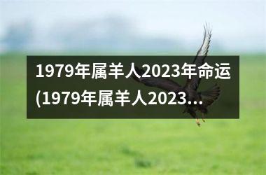 1979年属羊人2023年命运(1979年属羊人2023年运势及运程每月运程)
