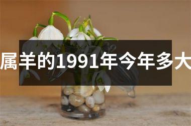 属羊的1991年今年多大
