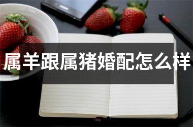 属羊跟属猪婚配怎么样