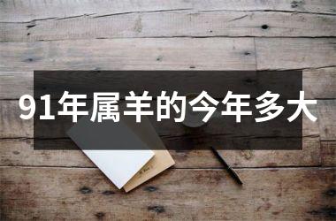 91年属羊的今年多大