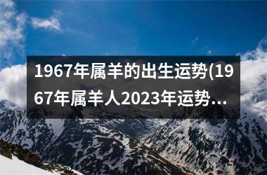 1967年属羊的出生运势(1967年属羊人2025年运势男性)