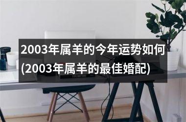 <h3>2003年属羊的今年运势如何(2003年属羊的佳婚配)