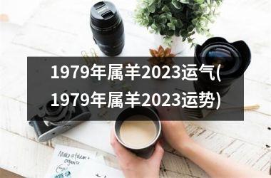 1979年属羊2025运气(1979年属羊2025运势)