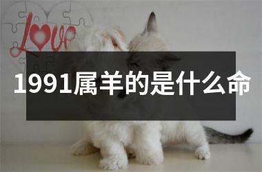 1991属羊的是什么命