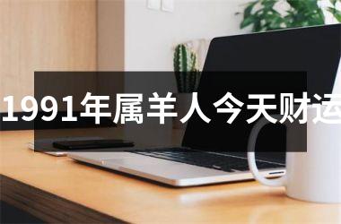 1991年属羊人今天财运