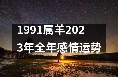 1991属羊2025年全年感情运势
