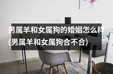 男属羊和女属狗的婚姻怎么样(男属羊和女属狗合不合)