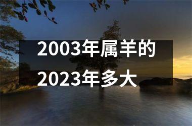 2003年属羊的2025年多大
