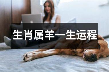 生肖属羊一生运程
