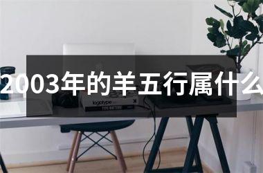 2003年的羊五行属什么