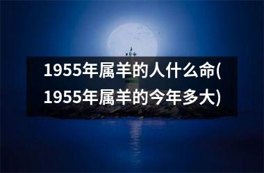 1955年属羊的人什么命(1955年属羊的今年多大)