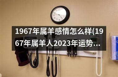 1967年属羊感情怎么样(1967年属羊人2025年运势男性)