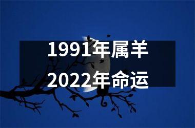 1991年属羊2025年命运