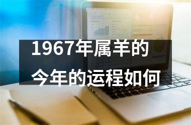 1967年属羊的今年的运程如何
