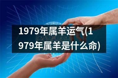 <h3>1979年属羊运气(1979年属羊是什么命)