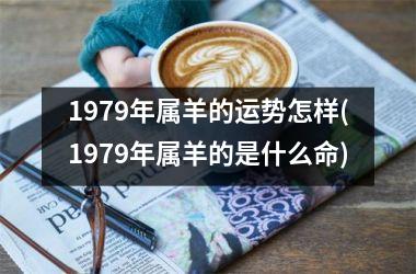 1979年属羊的运势怎样(1979年属羊的是什么命)