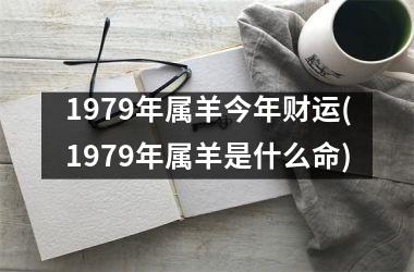 1979年属羊今年财运(1979年属羊是什么命)