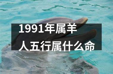 1991年属羊人五行属什么命