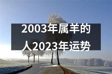 2003年属羊的人2025年运势