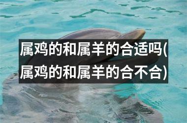 属鸡的和属羊的合适吗(属鸡的和属羊的合不合)