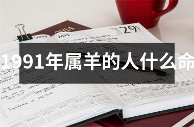 1991年属羊的人什么命