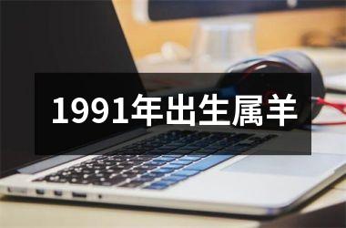 1991年出生属羊
