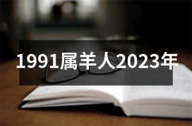 1991属羊人2023年