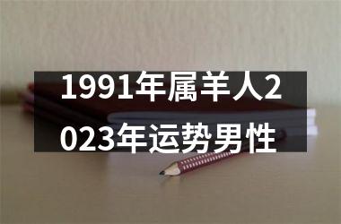 1991年属羊人2023年运势男性