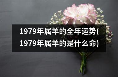 1979年属羊的全年运势(1979年属羊的是什么命)