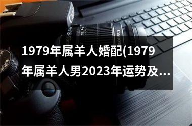 1979年属羊人婚配(1979年属羊人男2023年运势及运程)