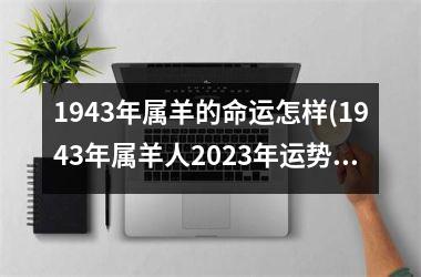 1943年属羊的命运怎样(1943年属羊人2025年运势)