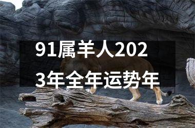 91属羊人2025年全年运势年