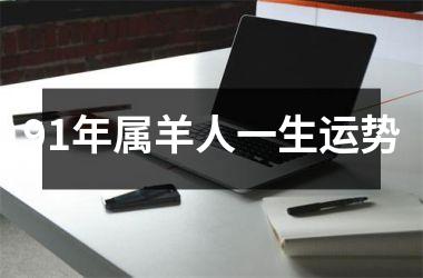 91年属羊人一生运势