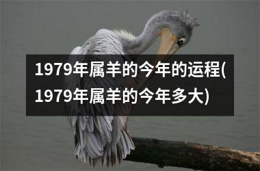 <h3>1979年属羊的今年的运程(1979年属羊的今年多大)