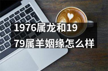 1976属龙和1979属羊姻缘怎么样