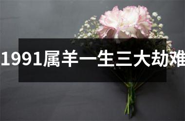 1991属羊一生三大劫难